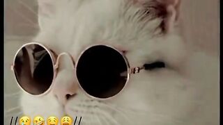Must watch new comedy video l 2023 Amaizg funny video 2023 how to earning funny video.