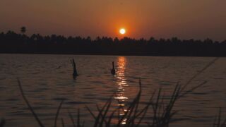 "Embracing the wonders of nature: a guide to finding happiness"