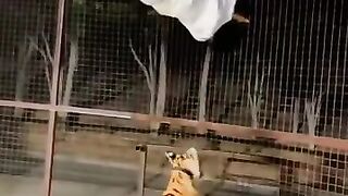 This human is trapped in a cage and a cheetah is standing below