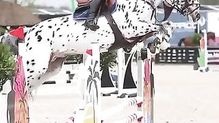 Check out the girl jumping from the horse and watch the full video