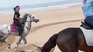The horse  have a race to see who will win