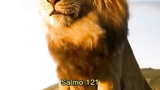 #5Salmo121