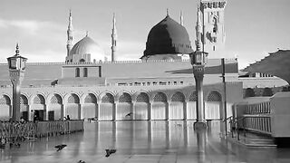 Islami