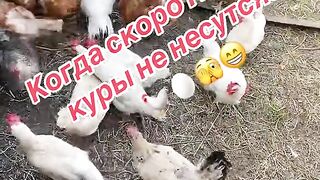 Пасха - подмена понятий. Фаллический символ. Праздник плодородия
