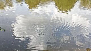 The lake in the vdng