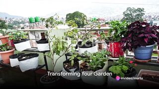 25 Green Thumb Ideas: Transform Your Garden
