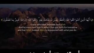 قراءة الشيخ المنشاوي