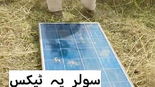 Funny video