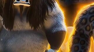 Nice video