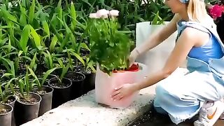 Use these hacks to have a successful garden!