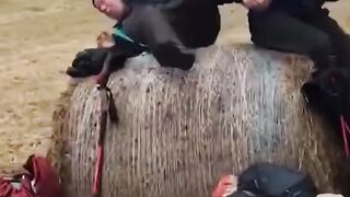 Funny video