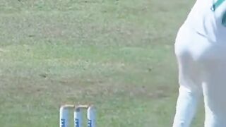 Cricket