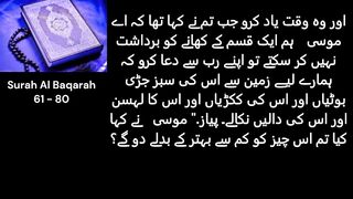 Surah Al Baqarah | Translate in Urdu | Only Urdu Quran | Trust - Telling Quran Translation Channel
