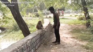 Monky funny  2023 new funny videos _animallover _viralvideo