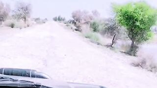 My videos