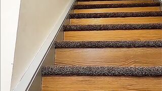"Watch this cat hilariously fail at trying to catch its tail!"