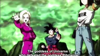 Goku Hope Of The Universe Dragon Ball