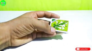 Science Technology