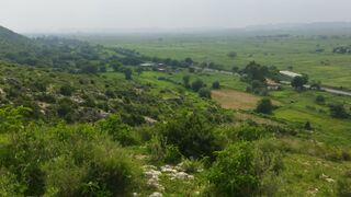 Qasim ali