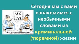 13 слов их тюремной жизни, которые активно пользуется в обиходе.