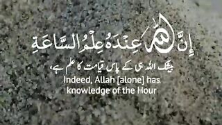 tilawat quran