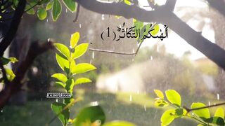 Al Quran