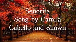 Shawn Mendes, Camila Cabello - Señorita (Lyrics) | Señorita Lyrics