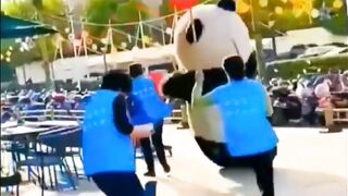 Panda shorts
