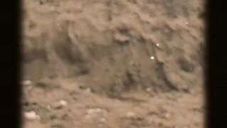 Amazing  vadio for dog