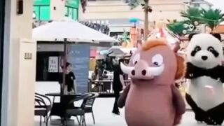 Funny panda and bear cute videos haha