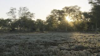 Animals Nature Documentary