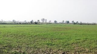 Village beauty After rain