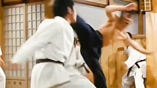 BRUCE LEE is too fast
