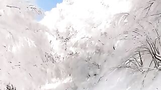 Amazing Nature
