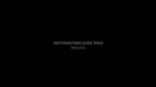 Pip | A Short Animated Film by Southeastern Guide Dogs