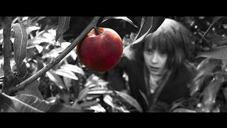 10 BEST MOVIE TRAILERS 2024