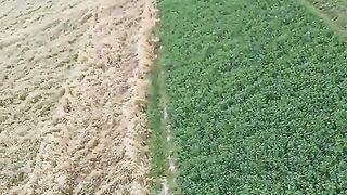 Village life