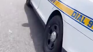 FLORIDA MAN ACTIVITIES