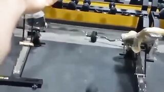Gym love