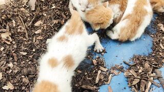 Baby ???? born yesterday