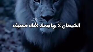 صح صح صح