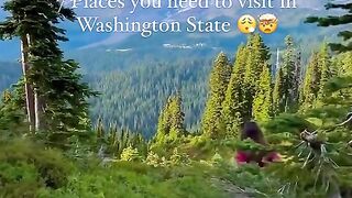 USA/Washington/city/travel