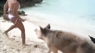 Je dois être une bonne idée