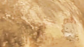 Funny videos ????