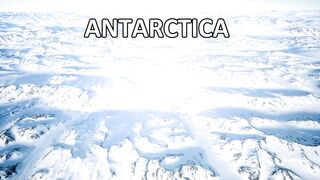 Strange Things Discovered Frozen in Antarctica