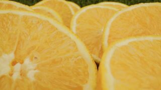 Many half oranges in a close shot