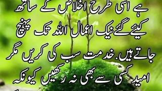 beautiful Urdu quotes
