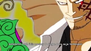 Rahasia buah iblis monkey D dragon terungkap
