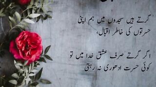 beautiful Urdu quotes