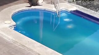 This Sea Lion Decided To Take Vacation As well.